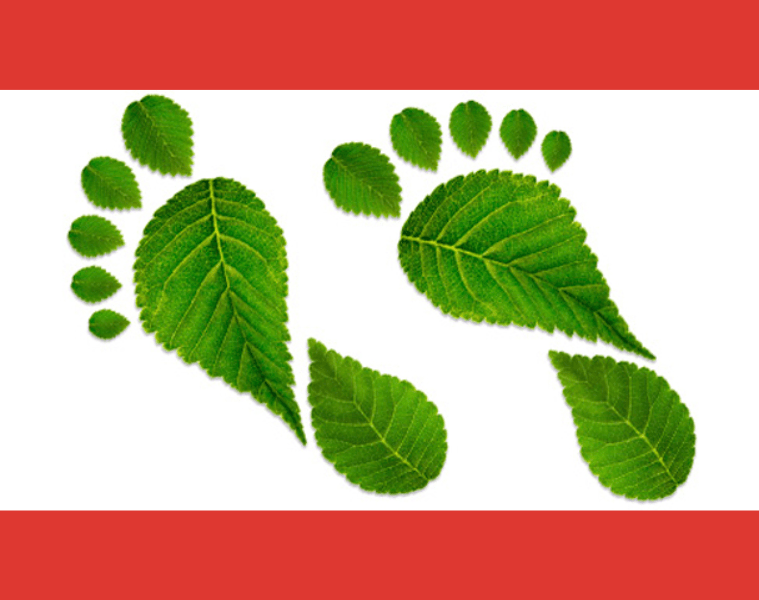 Mi futuro= Carbono Cero