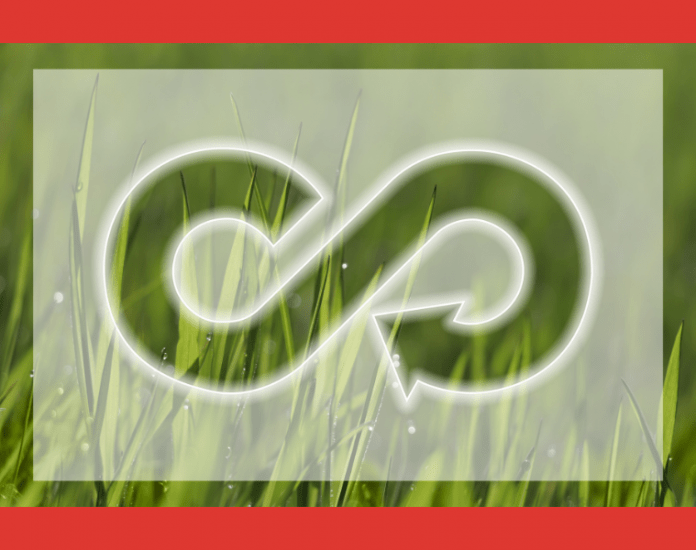 Tendencias para el 2023 y economía consciente