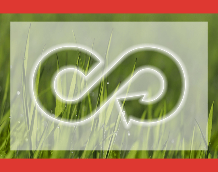 Tendencias para el 2023 y economía consciente