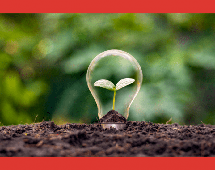 La diferencia entre sustentabilidad y sostenibilidad