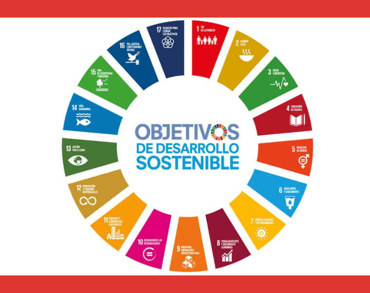 ¿Cuáles son los Objetivos de Desarrollo Sostenible de la ONU?