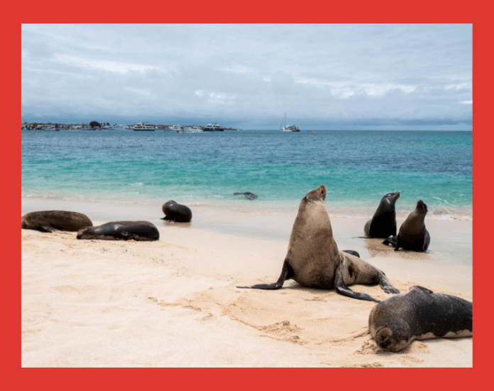 Ecuador realiza el más grande canje de deuda para proteger Islas Galápagos