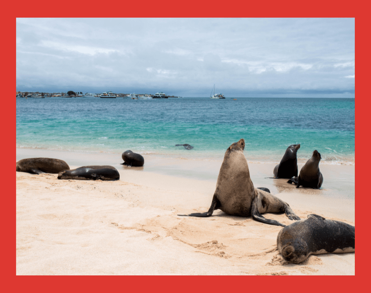 Ecuador realiza el más grande canje de deuda para proteger Islas Galápagos