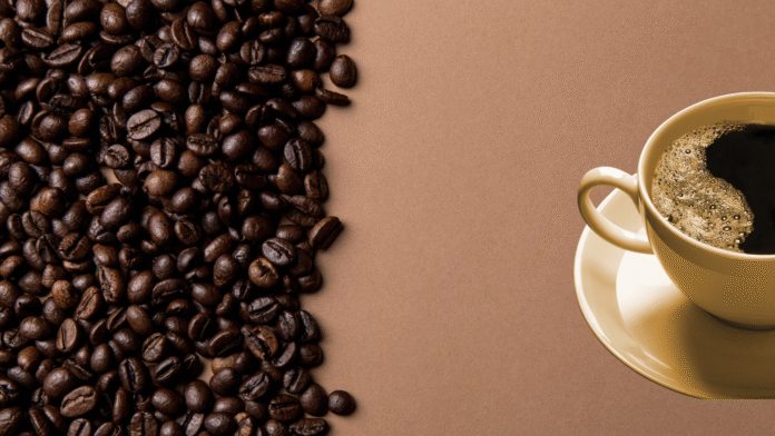 2025.10.01 Dia Intl Café-2